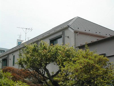 25132画像