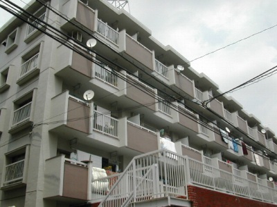 25426画像
