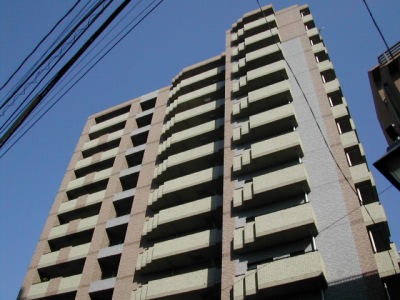 25161画像