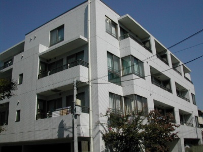 25164画像