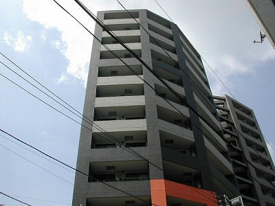 25236画像