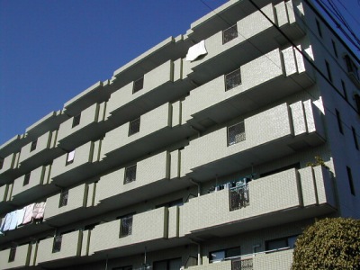 25250画像