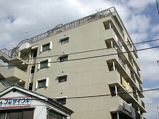 25317画像