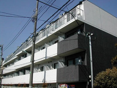25336画像