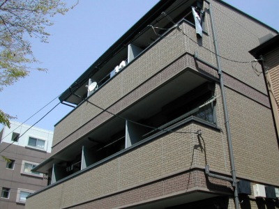 25406画像