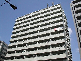 25439画像