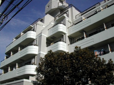 25446画像